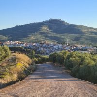 Camino15