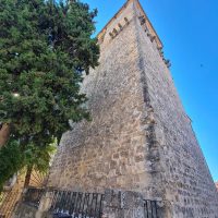 Camino8