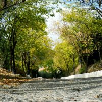 camino20