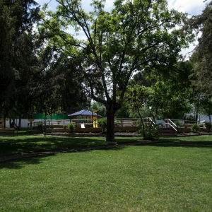 Parque Municipal "San Blas"